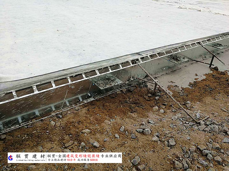 东莞市铠装缝案例